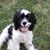 Gayle Donahue Adams's profile image