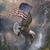 Sue Vidal Flanagan's profile image