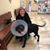 Vicki Gladding's profile image