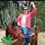 Alicia Clark Ledesma's profile image