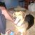 Tammy Homuth's profile image