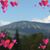 Susan Marguerite's profile image