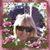 Phyllis Brody-Berry's profile image