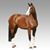 Michele Jankelow's profile image