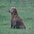 Tara Perby's profile image