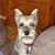 Cathy Steward Conger's profile image