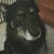 Jennie Marie Wenner's profile image