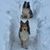 SuZan Brown's profile image