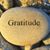 Susana Caceres's profile image