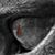 Jonathan Sanchez's profile image