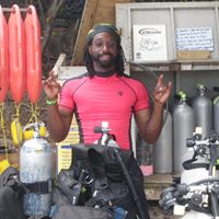 Neville Edmonds's profile image