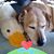 Andrea O'Neil's profile image