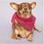 Wendy Crawford's profile image