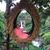 Kathy Matyas's profile image
