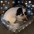 Amy Cooper-Hughes's profile image