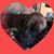 Sharon Hockenberry's profile image