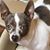Tommy-lyn Wilkerson's profile image