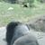 Dee Ezeb's profile image