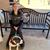 Stacie Leigh Dillon's profile image