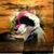 Ejo Furrall's profile image