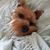 Jane Whitehead Boardman's profile image