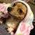 Maryann Davino Lanzieri's profile image