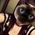 Crissy Shultz's profile image