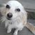 Dora Gilley Allison's profile image