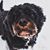 Amy Lessig Seganish's profile image