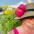 Karyl Rice's profile image