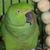Marybeth MacKay's profile image