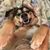 Trish Bell's profile image