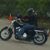 Patti Danger Landini's profile image
