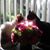Alejandra Aguero's profile image
