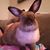 Toni Landess's profile image