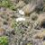 Linda Holly's profile image