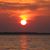 Toni Jenkins Thibodeau's profile image