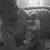 Dee Ripley Moss's profile image