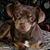 Shirley Wetzel's profile image