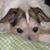 Wendy S Reeves's profile image