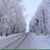 Donna Norrman's profile image