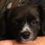 Melissa Miller's profile image