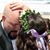 Ron Joseph's profile image