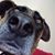 Katie Hoban Pottroff's profile image