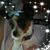Lora Adkins's profile image