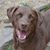 Karen Morrow Waltein's profile image