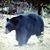 Michelle LeDoux's profile image
