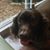 Sam Walker's profile image