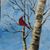 Suzi Olin Usher's profile image