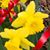 Maureen Gerardi's profile image